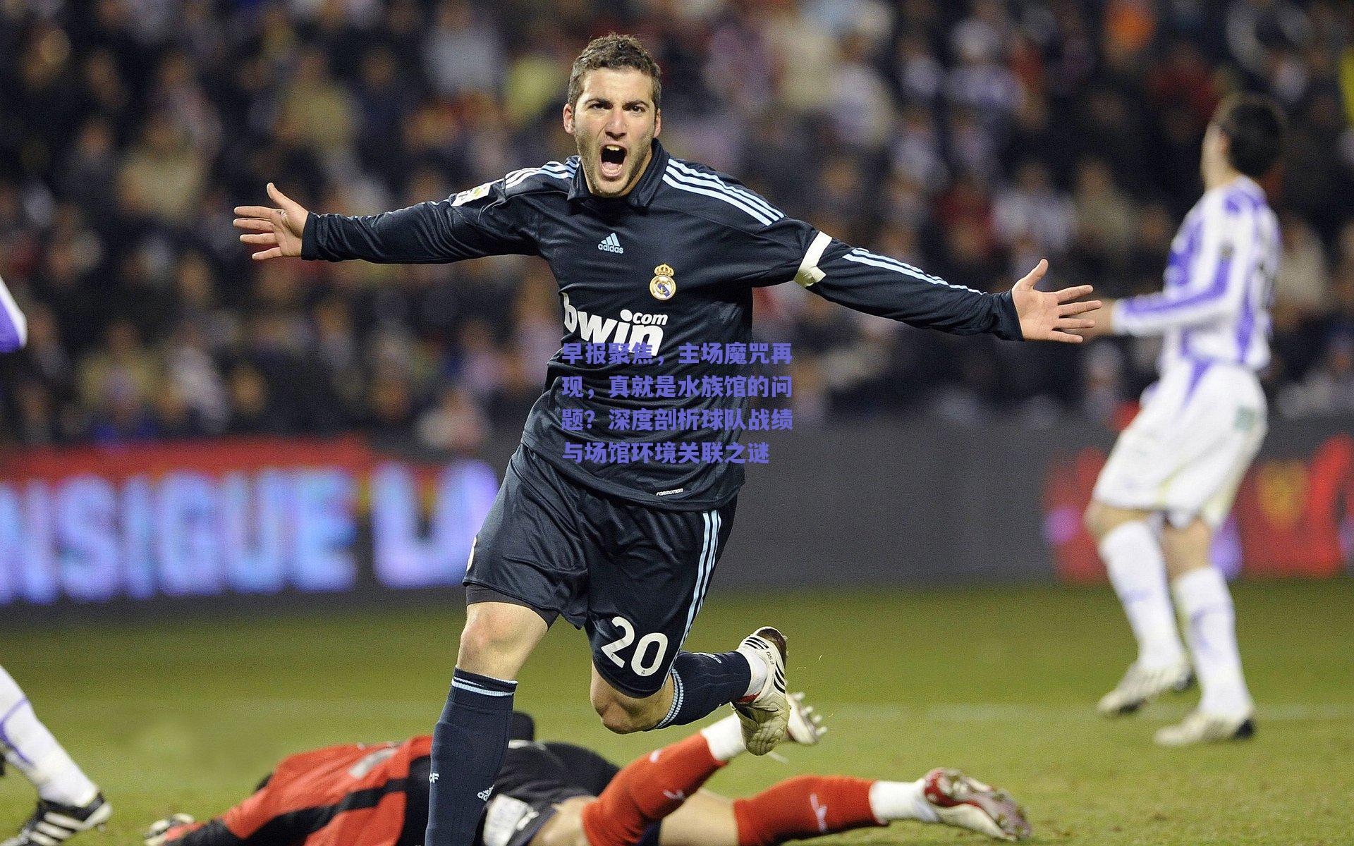 早报聚焦，主场魔咒再现，真就是水族馆的问题？深度剖析球队战绩与场馆环境关联之谜